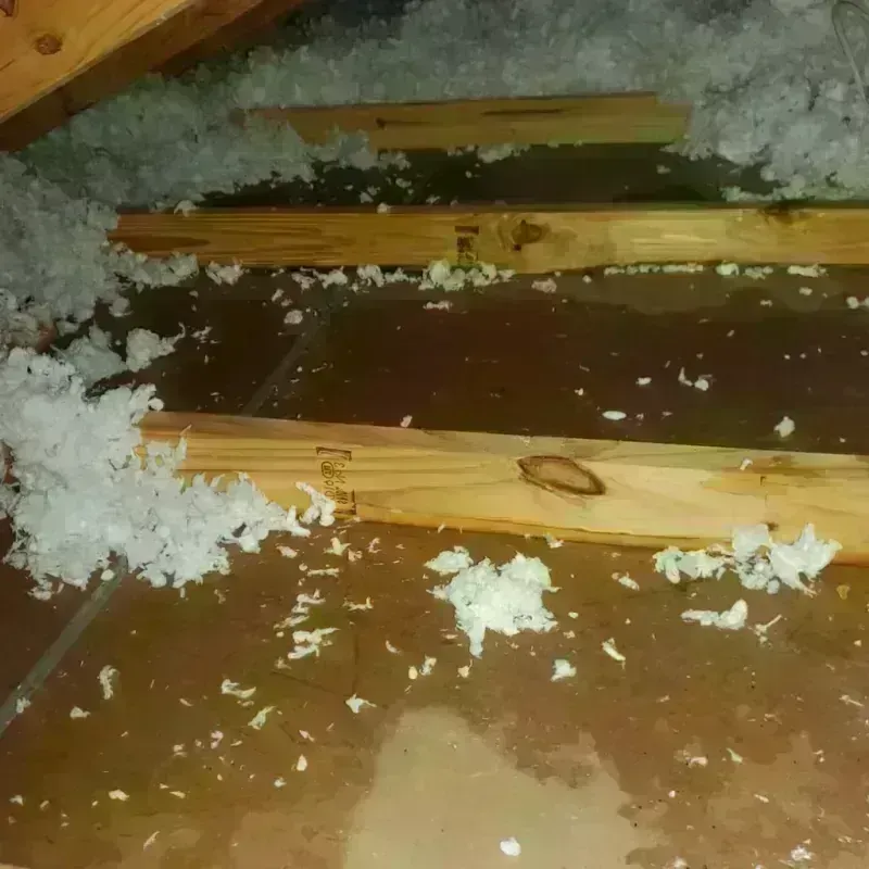 Attic Water Damage in Georgetown, DE