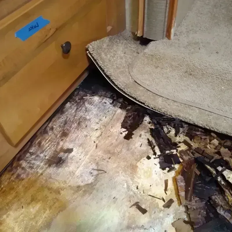 Wood Floor Water Damage in Georgetown, DE